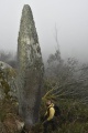 Sintra Menhir submitted by Moicanux
