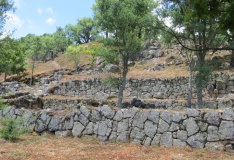 Citânia de Briteiros