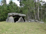 Anta da Cerqueira - PID:49455