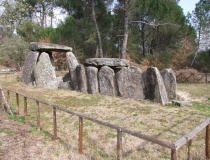 Anta de Cunha Baixa