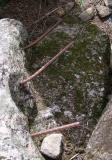 Dolmen de Carapito 1