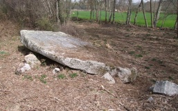 Dolmen de Carapito 1