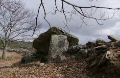 Anta do Turgal