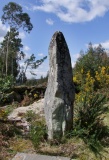 Menir de Luzim