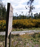 Gravuras de Lomar