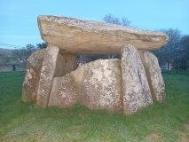 Anta da Barrosa
