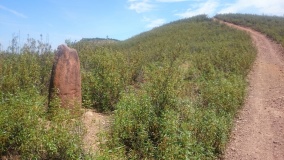Menir da Vilarinha 2