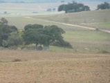 Antas do Chainha - PID:69970