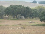 Antas do Chainha - PID:69969