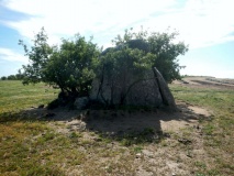 Anta do Pau