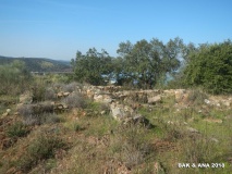 Castro dos Ratinhos