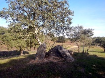 Antas das Figueirinhas