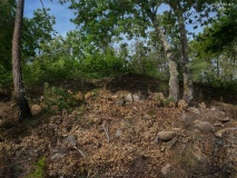 Anta da Lameira do Fojo 1 - PID:307638