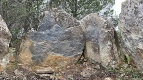 Anta do Curral da Castelhana