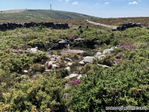 Mamoa do Monte Calvo