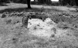 Anta Da Quinta Do Gato 1