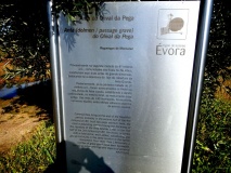 Anta 2 do Olival da Pega