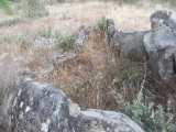 Anta do Beringel - PID:171457