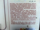 Menir da Vilarinha 1 - PID:113511