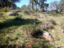 Recinto Do Tojal