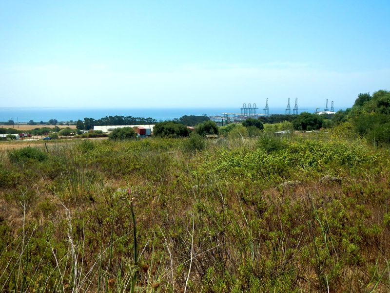 Click for the gallery page to add comments and vote (PID:133465) Monte Novo