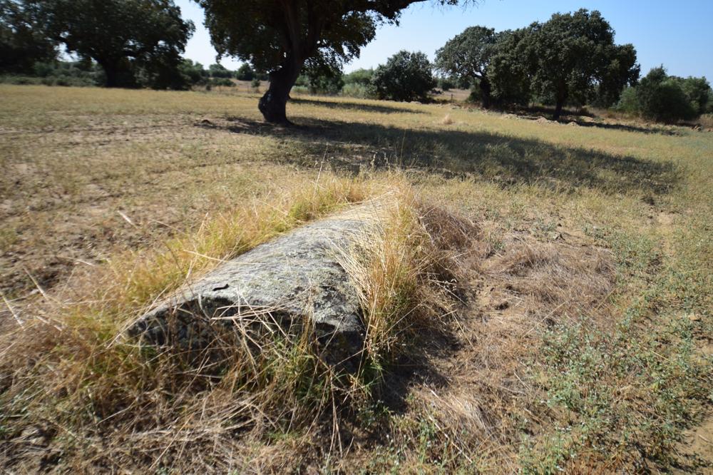 Click for the gallery page to add comments and vote (PID:185810) Menir na Herdade das Vidigueiras
