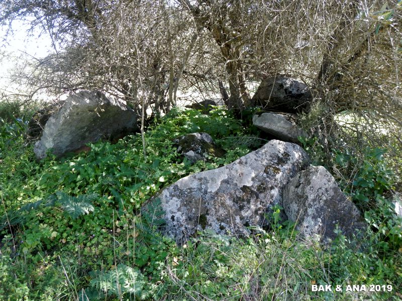 Click for the gallery page to add comments and vote (PID:194692) Anta das Areias 2