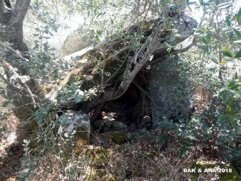 Click for the gallery page to add comments and vote (PID:185183) Anta da Herdade do Almo 1