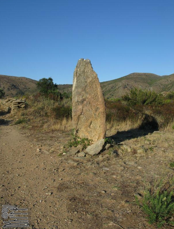 Click for the gallery page to add comments and vote (PID:112149) Menhir de la Casa Cremada 1