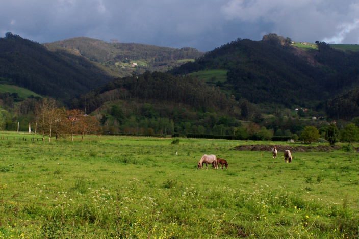 Castro de Doña Palla