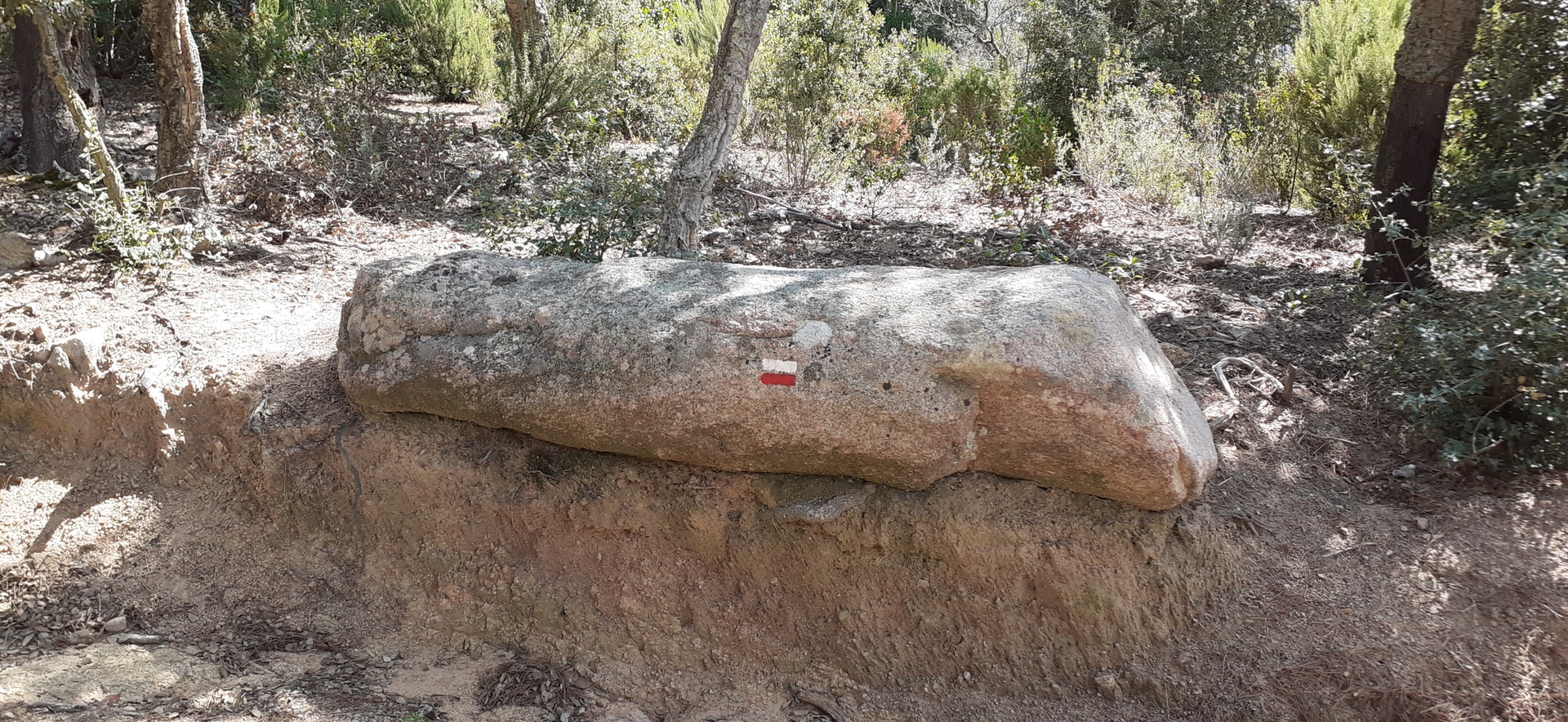 Menhir d'es Morteràs (Murtràs)