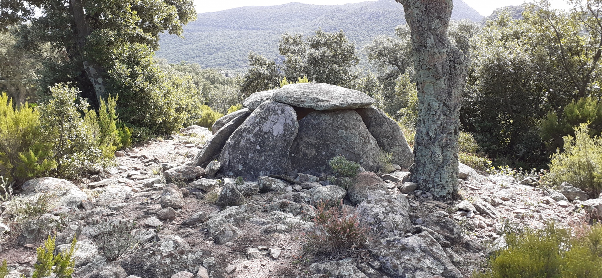 Dolmen de la Font del Roure
