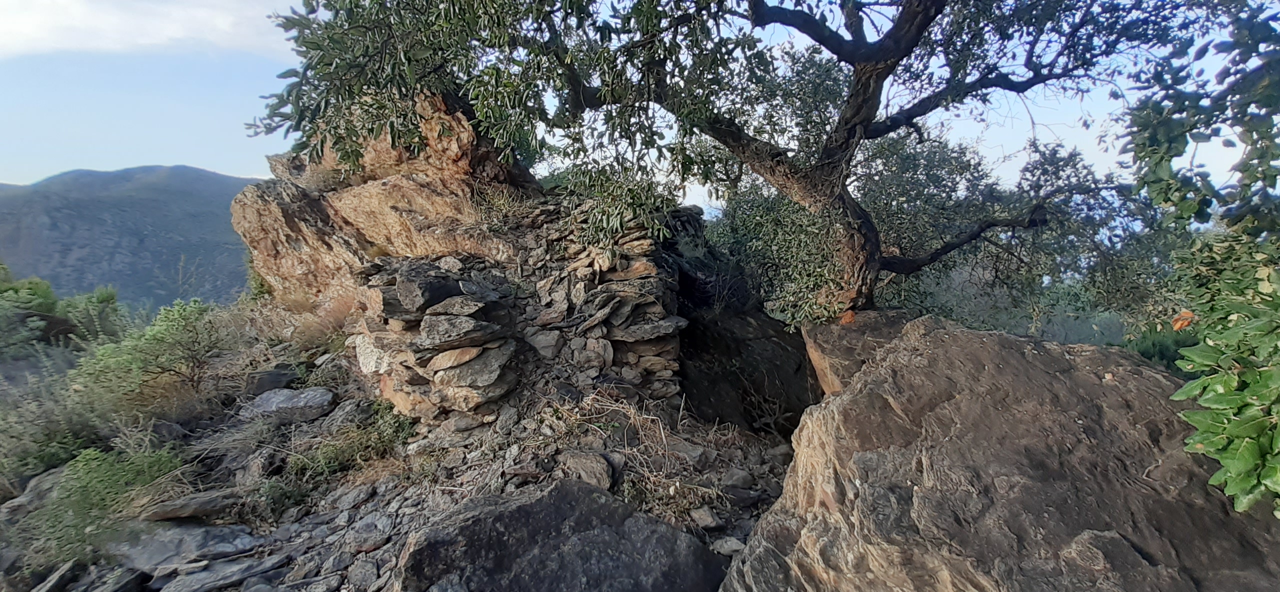 Dolmen de Mores Altes 1