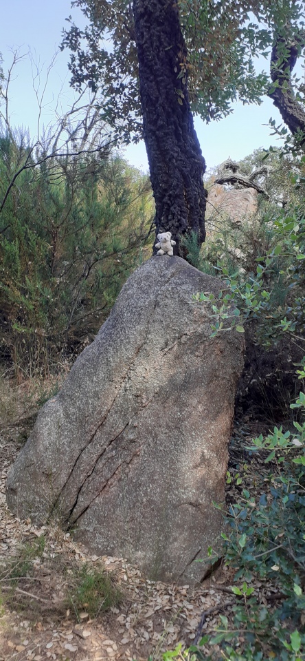 Menhir dels Planers de la Serafina