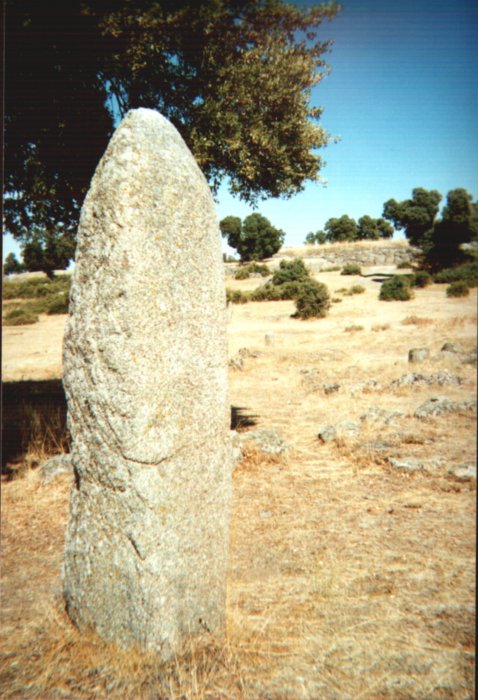 Castro de la Mesa de Miranda