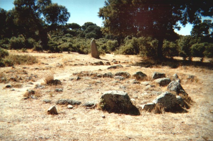 Site in Castilla y León
Several circular stone structures and 3 standing stones can be seen in what is considered the Necropolis of this Castro.
