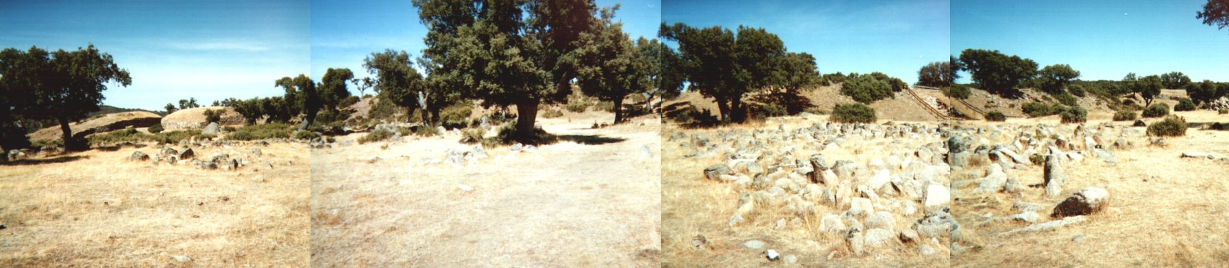 Site in Castilla y León
Panoramic view of the innermost rampart of the Castro. The impressive 1st defense perimeter arrangement boasts 4 towers, (two flanking the eastern entrance – left of the picture – and two doing the same for the western gate – extreme right of the picture,) more than 200m of 3-4m high dual stone walls, a 5m wide 3m deep moat and a 25m wide “Chevaux-de-Frise”. 