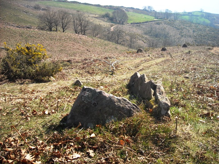 Click for the gallery page to add comments and vote (PID:46003) Legate Dolmen 4