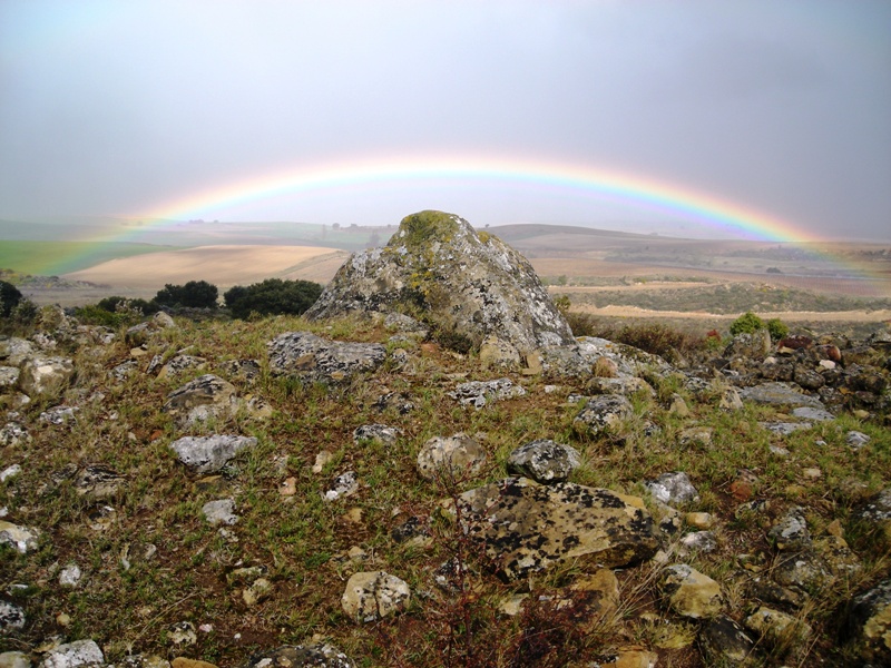 Alto De La Huesera Trikuharria