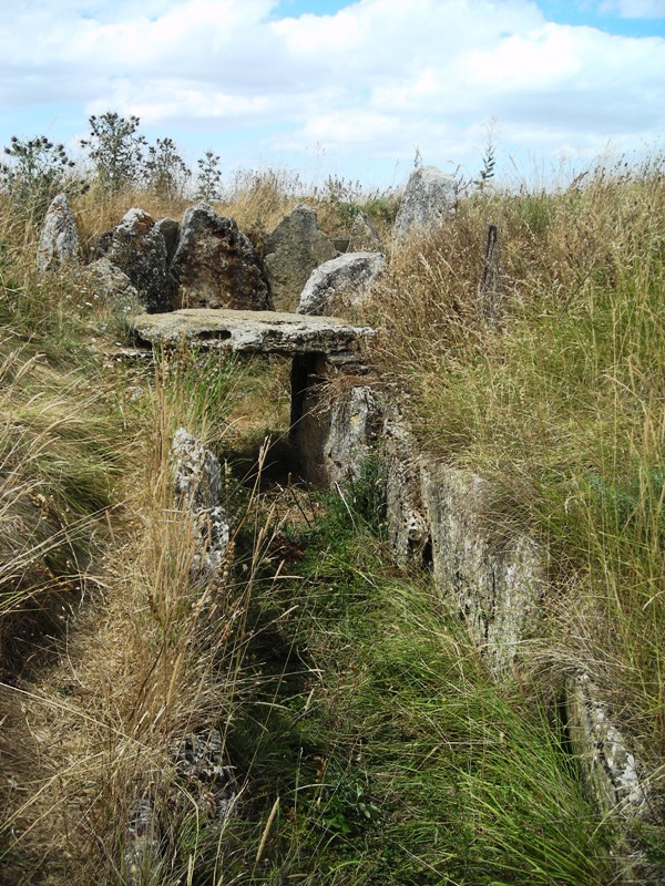 La Cotorrita Dolmen