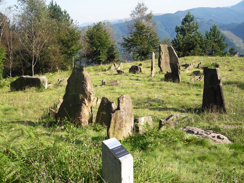 Mulisko Gaina Harrespila