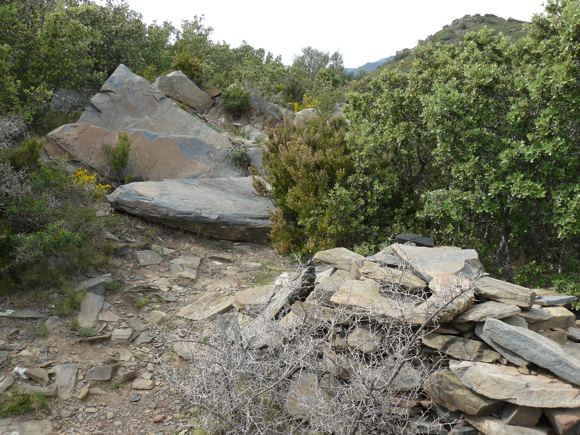 Dolmen de Mas Girarols 2