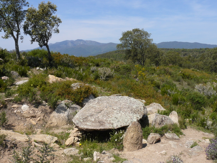 Dolmen dels Estanys 3 [Els Estanys III] Burial Chamber or Dolmen : The ...