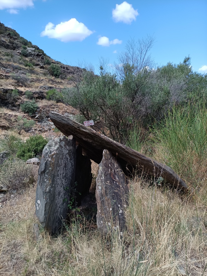 Click for the gallery page to add comments and vote (PID:293905) Dolmen de la Riera Pujolar 1