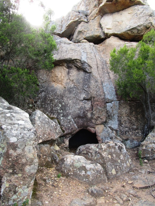 Cova de Can Rissec