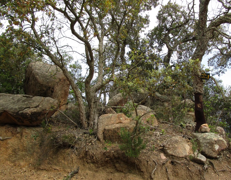 Menhir Caigut