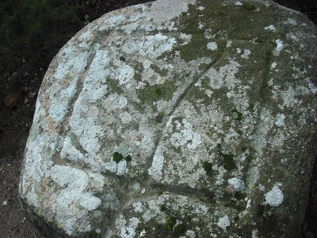 Pedra dels Sacrificis de Can Cabanyes