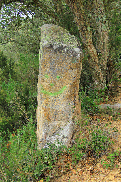 Menhir de Montllor 1