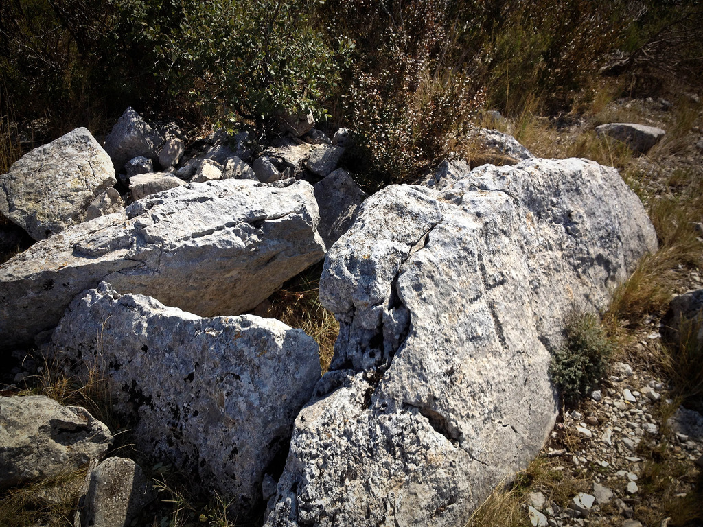 Dolmen del Cogulló