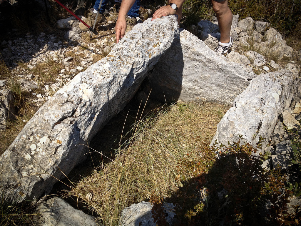 Dolmen del Cogulló